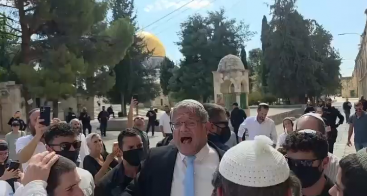 ŞEYH ALİ EL YUSUF