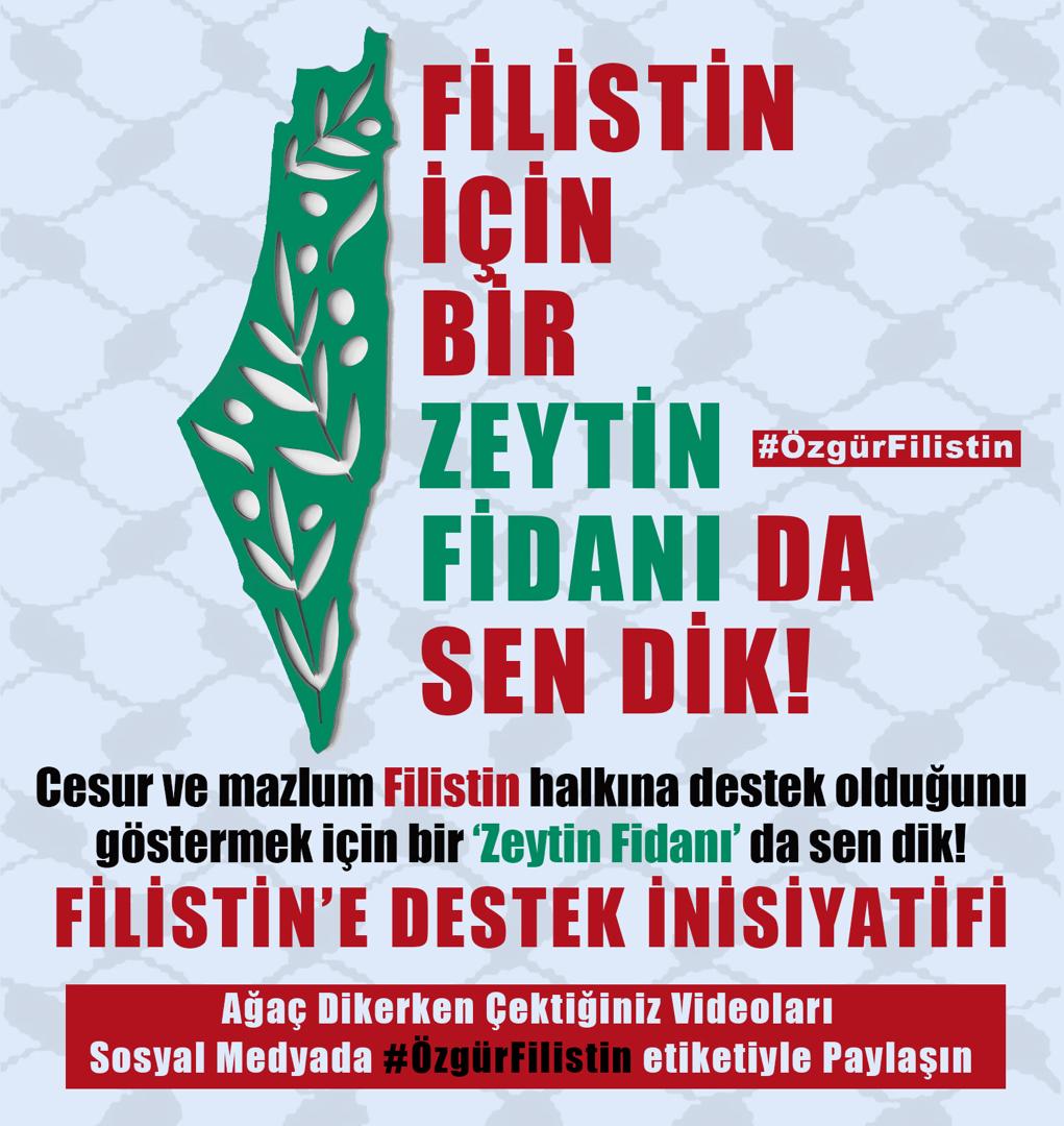 FİLİSTİN’E DESTEK İÇİN ZEYTİN FİDANI DİKME ÇAĞRISI