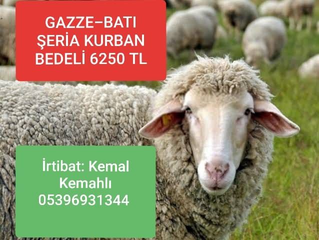 KURBANLARIMIZI GAZZE-BATI ŞERİA-LÜBNAN VE YEMEN’E GÖNDERELİM (DUYURU)